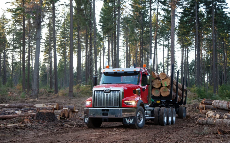 Western Star logging truck loaded with logs in a forested area at dawn, Ottawa Ontario dealership